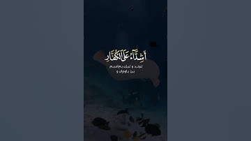 محمد رسول الله (صل الله عليه وسلم) القارئ ياسر الدوسري