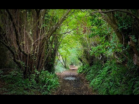 Chew Valley Walk Against Airport Expansion.