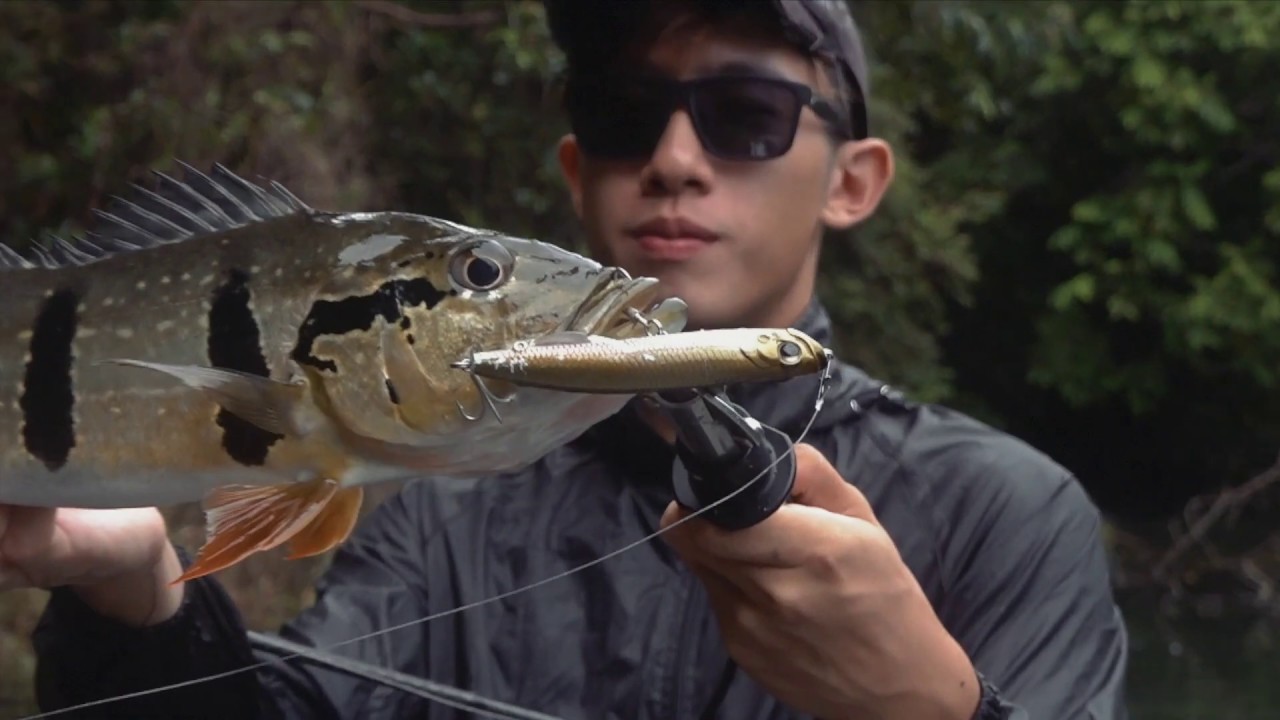 peacock bass topwater