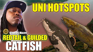 BEST HOTSPOT | UNIQUE REDTAIL GUILED CATFISH | MARRON | XP MONEY GRIND | Fishing Planet