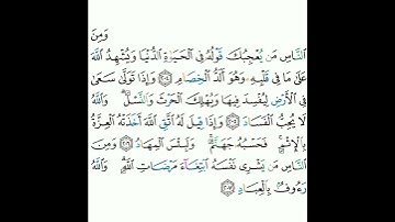 2 - سورة البقرة ٢٠٤-٢٠٧ - مشاري بن راشد العفاسي