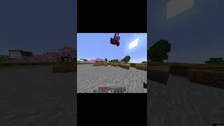 2 Salahori! YT: Furcka #fyp #viral #shorts  #minecraft #troll #trolling #multiplayer #server