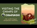 Visiting Chimps at Chimfunshi Wildlife Sanctuary | Largest Chimpanzee Sanctuary | Zambian Diaries