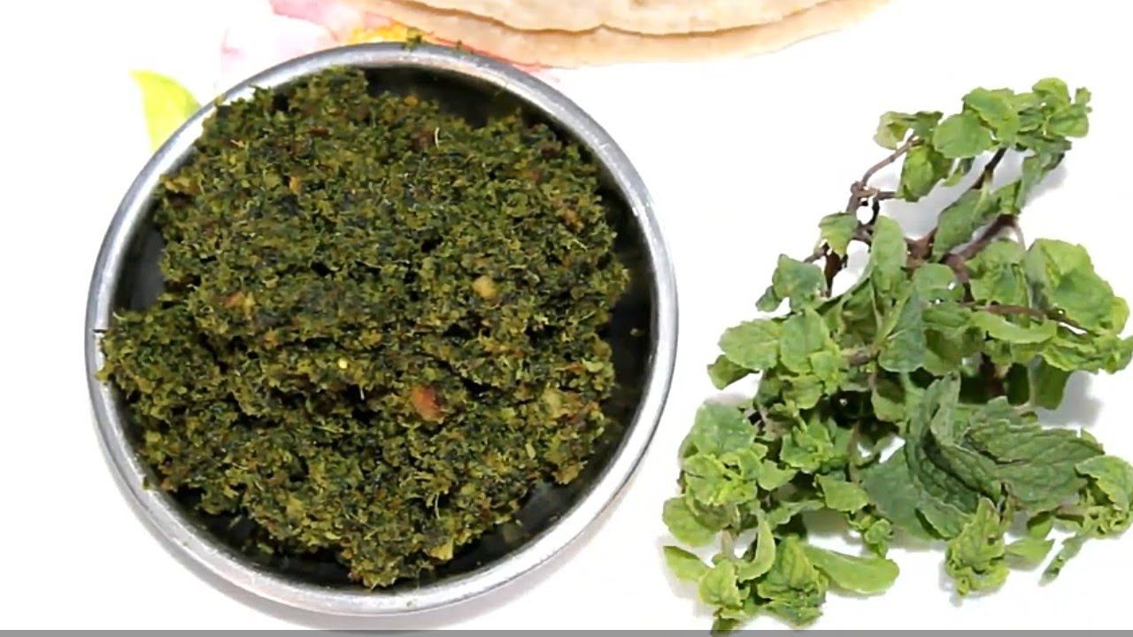 pudina chutney mint chutney dry pudina chutney YouTube