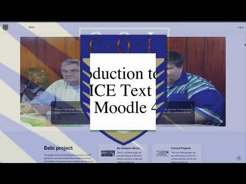 Introduction to the TinyMCE Text Editor in Moodle 4+