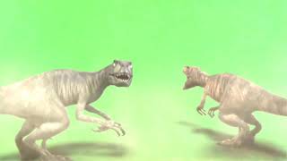 all effect with sound  green screen /anonymous boy