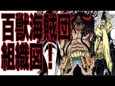 ワンピース 最新話 百獣海賊団組織図 考察 1808 Youtube