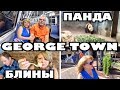 Зоопарк, George Town и блины с киндер сюрпризом! .