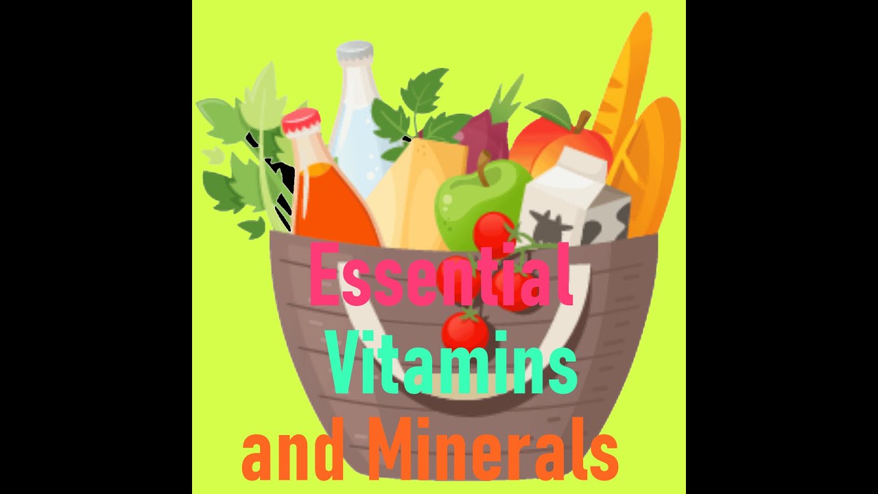 essential vitamins and minerals YouTube