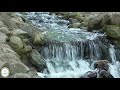 صوت الانهار للاسترخاء و التأمل Relaxing River Sounds