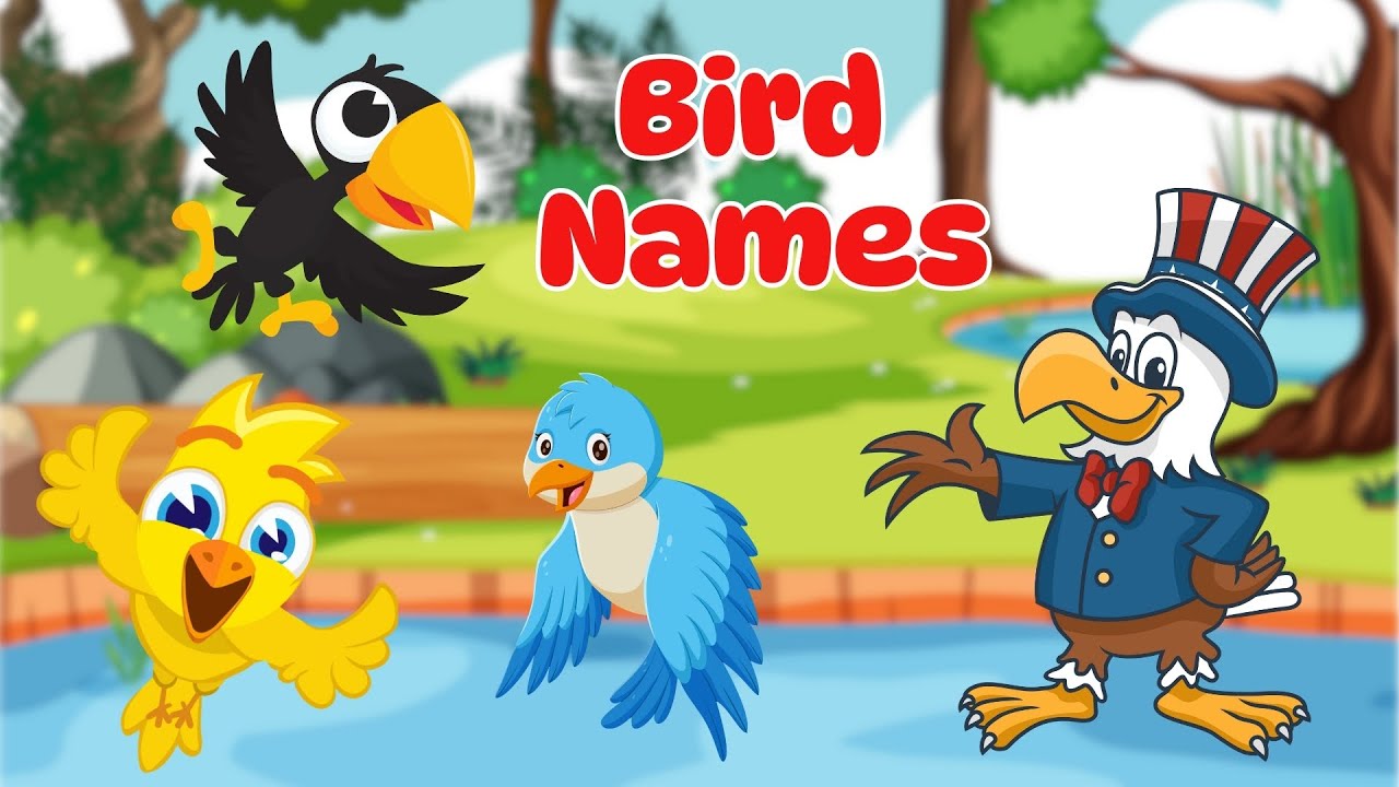 Learn Bird Names for Kids | Fun Bird Sounds and Facts | Educational Video for Toddlers