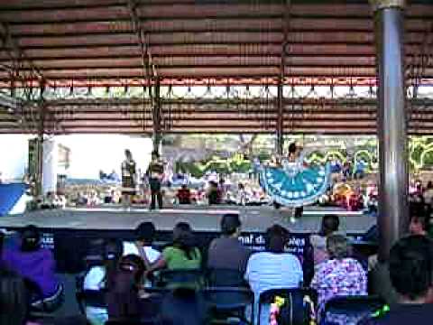 concurso huapango pinal de amoles 2010