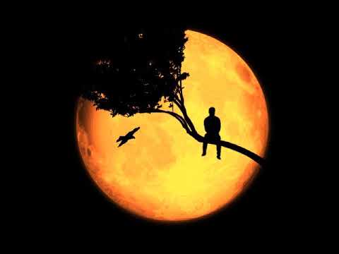 Hilang dalam terang [ search ]