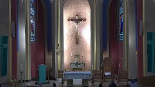 Fourteenth Thursday in Ordinary Time Noon Mass