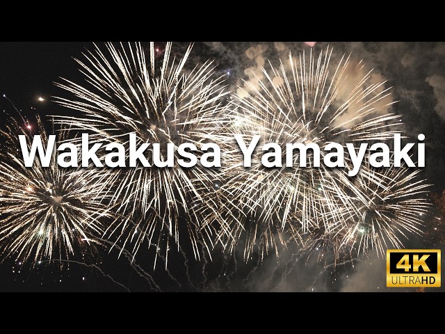 Wakakusa Yamayaki 2025 🔥 | Nara's Spectacular Fire Festival - YouTube