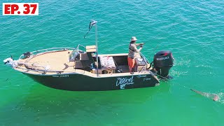 2 Nights of Camping and Fishing in Our Favourite Harbour