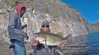 First SWIMBAIT FISH of 2020 | New Melones Lake