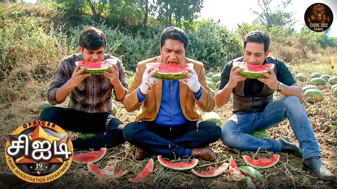 விசாரணையின் போது CID காட்டில் தர்பூசணி சாப்பிட அமர்ந்தபோது | Best of CID Tamil | New Episode 1295
