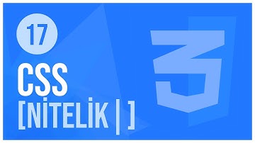 CSS Dersleri -17 / [nitelik|="değer"] Seçici