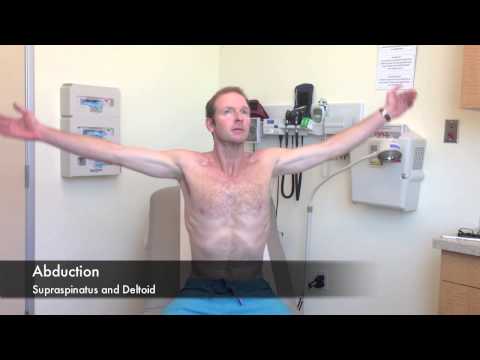 SdMskProject Shoulder Exam Part 2: Physical Exam