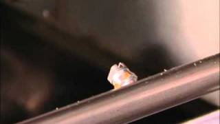 Jaccard Sectormatic Slicer - Automatic Washing System