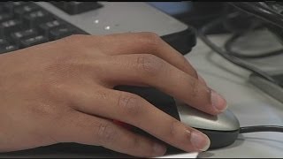 Heartbleed bug compromises online information