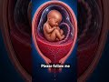 Placenta previa #midwifery #pregnancy
