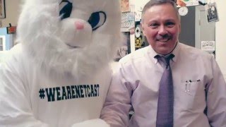 Generous Bunnies Take Over Beverly