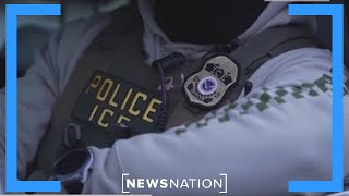 ICE continues to assist TSA at US airports | NewsNation Live