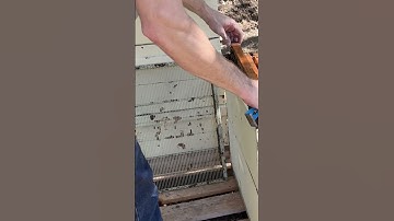 Gentle Beehive Frame Removal: A Beekeeper