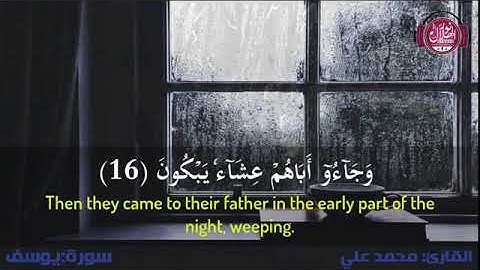 ما تيسر من سورة يوسف من الايه(7)الي الايه(29)