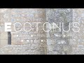 Ecotonus 2024 2025 By Edward Breitweiser Full Music Video