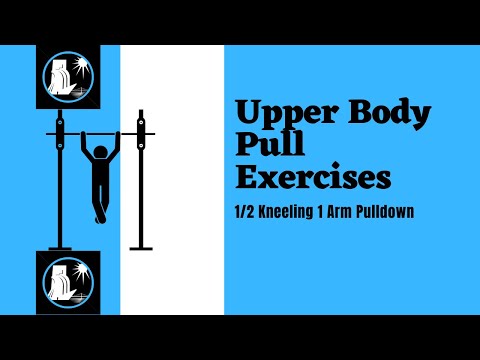 Upper Back Pull Exercise | 1/2 Kneeling 1 Arm Cable Pulldown | Great Upper Back Pull Cable Exercise