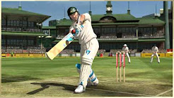 Play Online Cricket