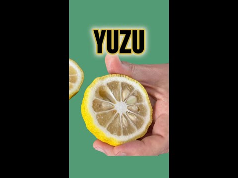 ¿CONOCES el CÍTRICO mas valorado de JAPÓN? 🇯🇵 #yuzu #pasteleria #recetas #chef #cocina #japon