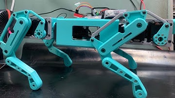 Quadruped Robot - ROS System & Hector SLAM Build map