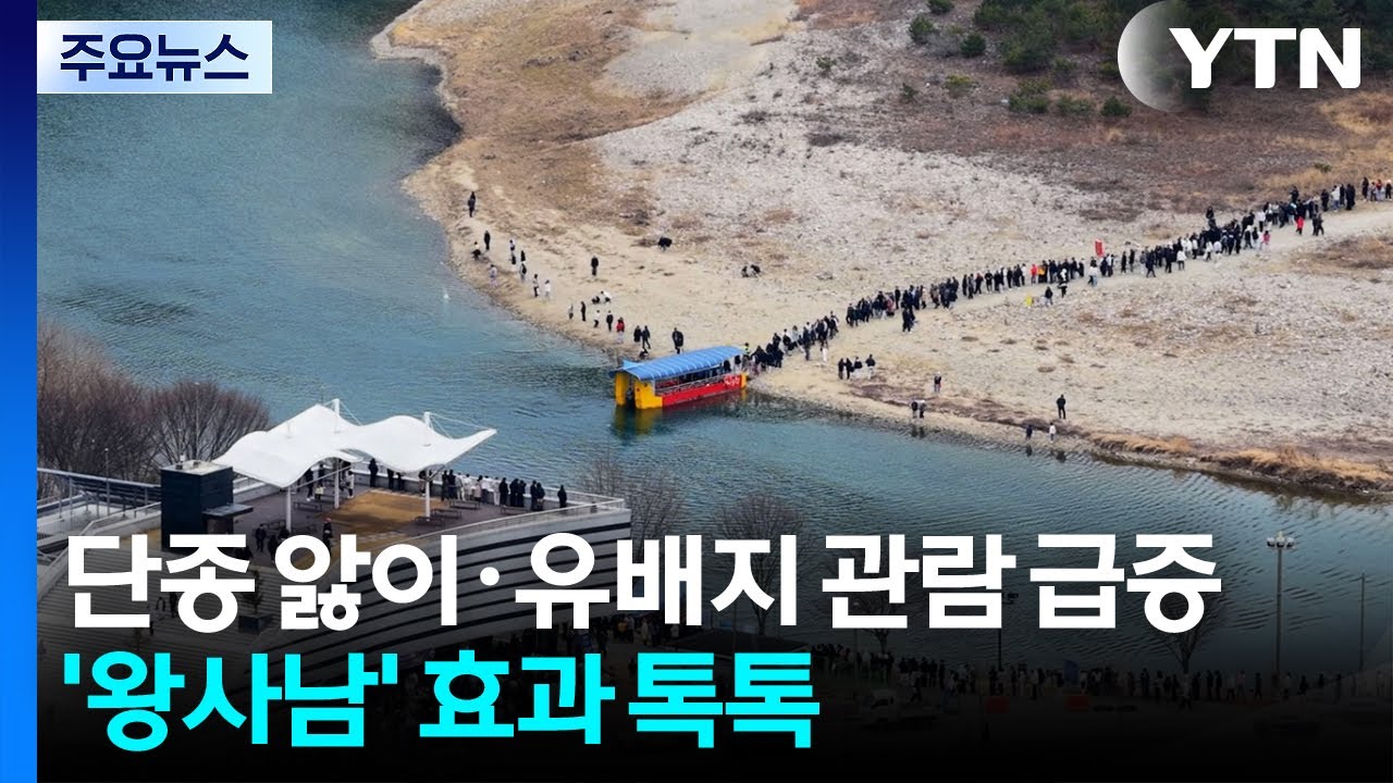 단종 앓이·유배지 관람 급증...'왕사남' 효과 톡톡 / YTN