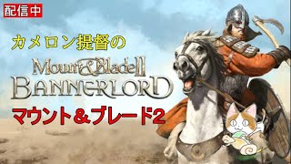 【Mount＆BladeⅡ】MOD全部外して最初から・・・(´・ω・｀)ｼｮﾎﾞｰﾝ