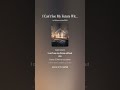 I Can’t See My Future Without You_5_BY ADI+SUNO (V5.5)+ChatGPT