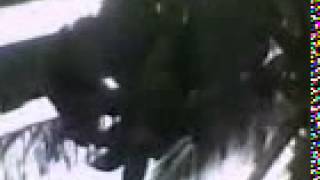 Pisang raja screenshot 4