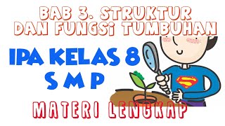 Struktur dan Fungsi Tumbuhan: Bab 3 IPA Kelas 8 SMP