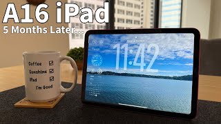 Famous 2025 A16 iPad 5 month review! Tested with iPadOS 26 Public Beta! Wealth