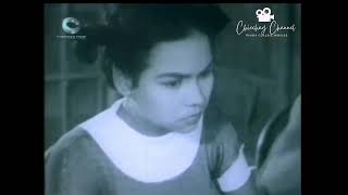 'Sabungera' 1954 | Lolita Rodriguez | Ric Rodrigo | Dolphy | #sampaguitapictures