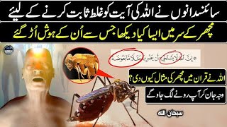Why Did Allah Create Mosquitoes? The Answer Will Shock You - "Miracle of the Quran"