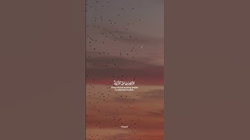 وَجَزَاهُم بِمَا صَبَرُوا جَنَّةً وَحَرِيرًا | #احمد_خضر | #سورة_الانسان