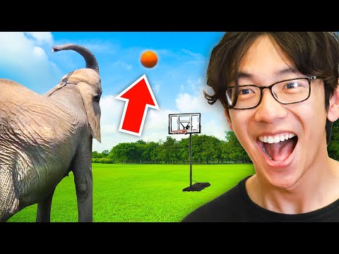 World's Smartest Animals!