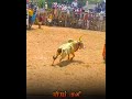 ✨ஏரியூர் முனி🔥வணக்கம்  டா  மாப்ள✨.....🔥காளையின் Sengai_sri_editz....Thanks For Waching.............)