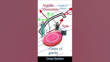 The Science Behind Frisbee | How It Glides in Air