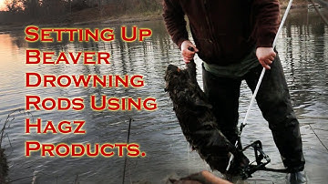 Setting up Beaver Drowning Rods using Hagz Products.