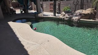 Gilbert tackles water waste by sending conservation specialists directly to residents' front doors
